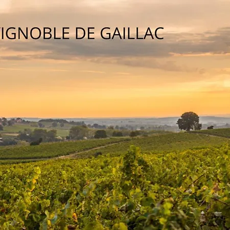 Villa Spacieuse - Calme - Jardin - Gaillac